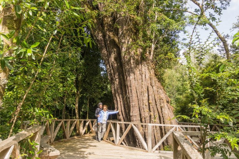 imagen excursión parque tantauco