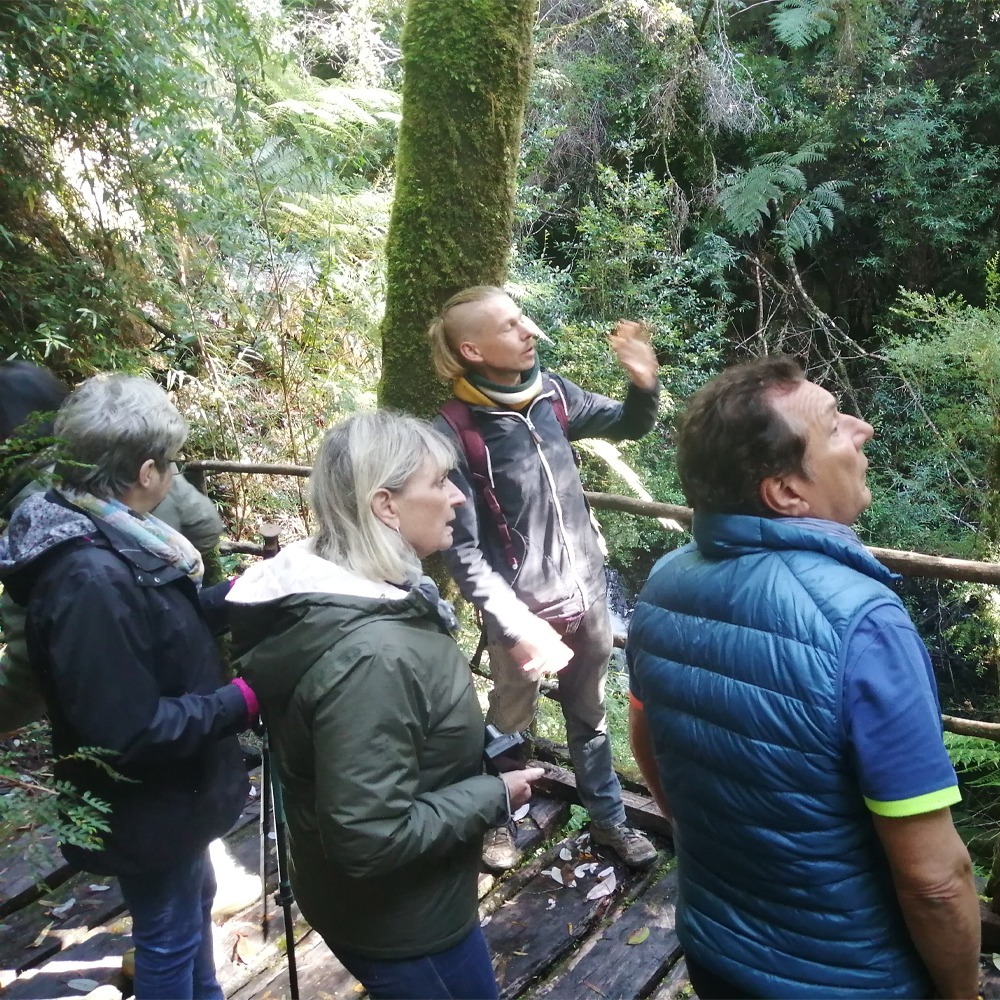 Tour Bosque Piedra