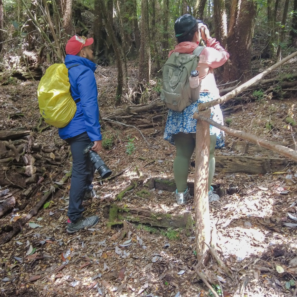 Tour Bosque Piedra