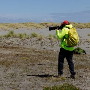 fotografía de aves en chiloe