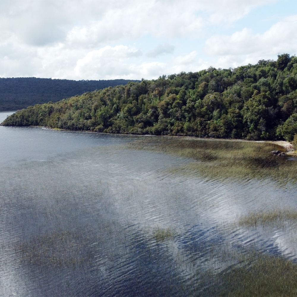 Lago Yaldad