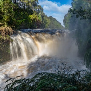 Parque Tepuhueico