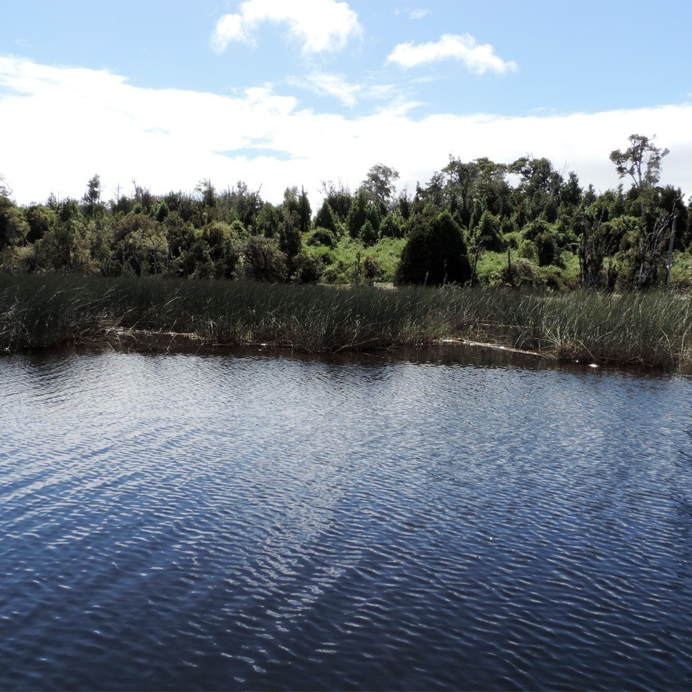 Rio Puntra