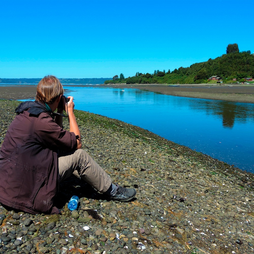 Tour Pueblos Costeros Chiloé