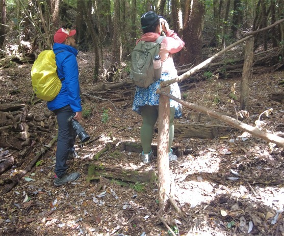 Trekking en Chiloe