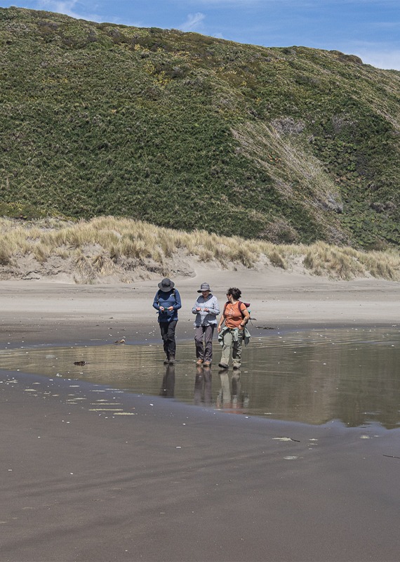 guias y turistas en chiloe