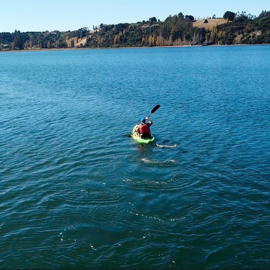 kayak en chiloe