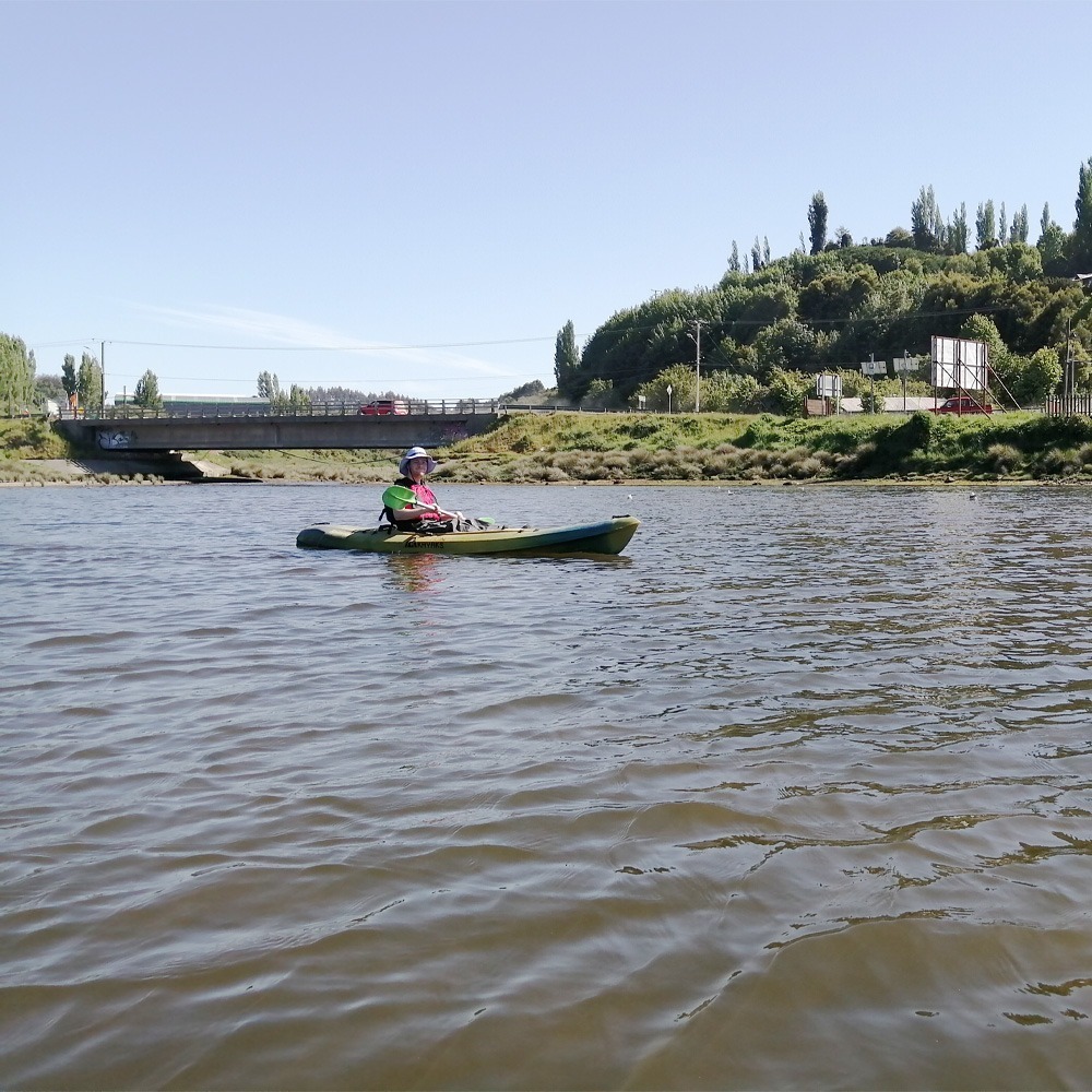 Kayak en Fiordo de Castro - Imagen 5