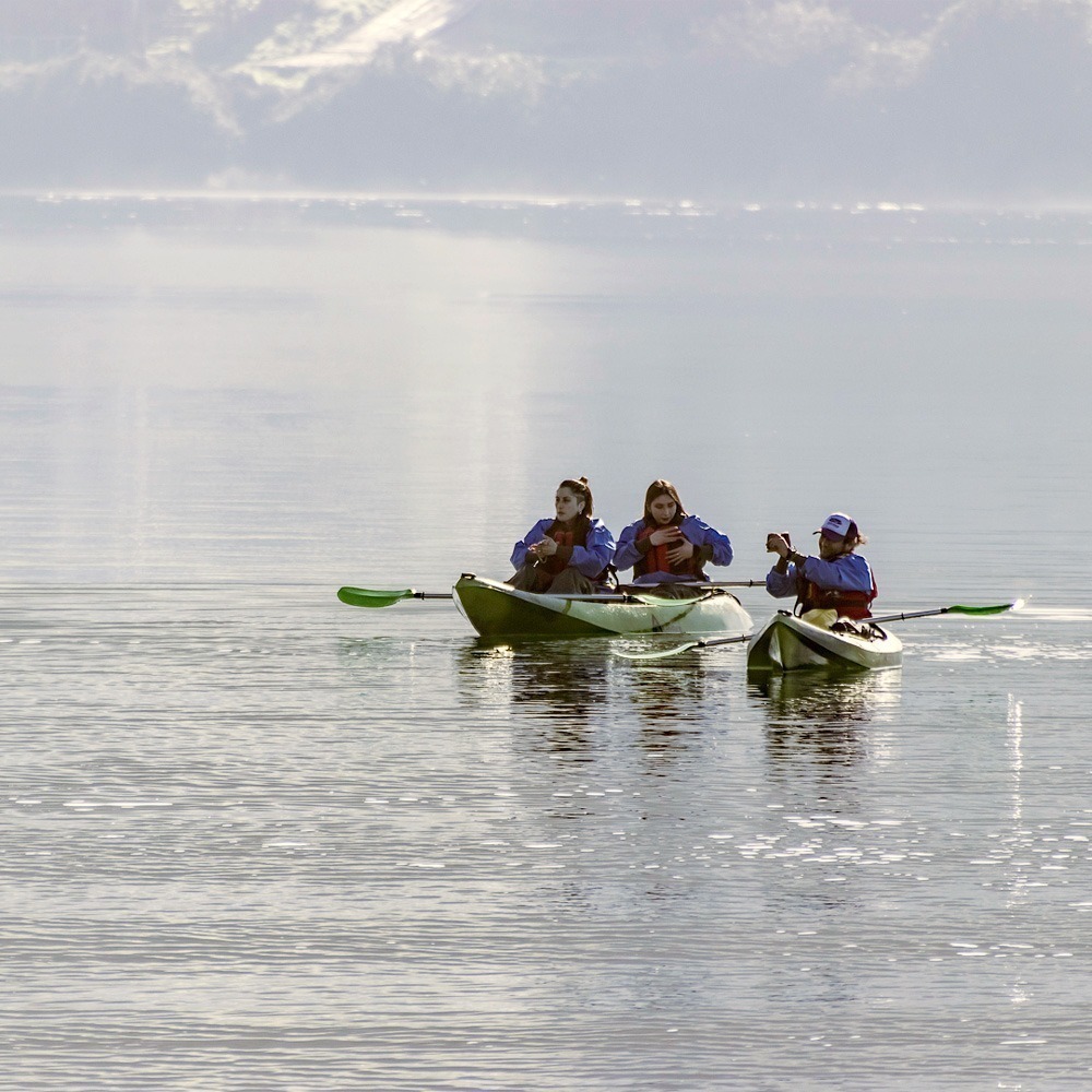 Kayak en Fiordo de Castro - Imagen 7