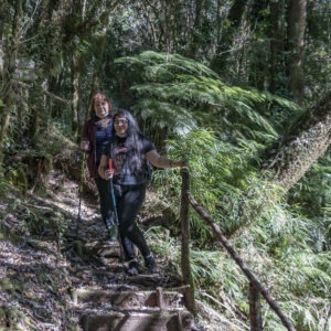 parque nacional chiloe