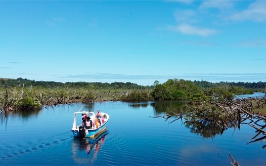 Navegacion en rio puntra