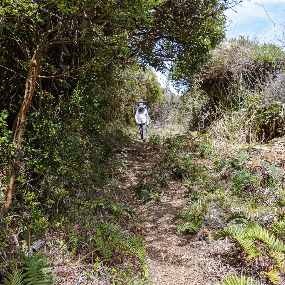 Parque Ahuenco